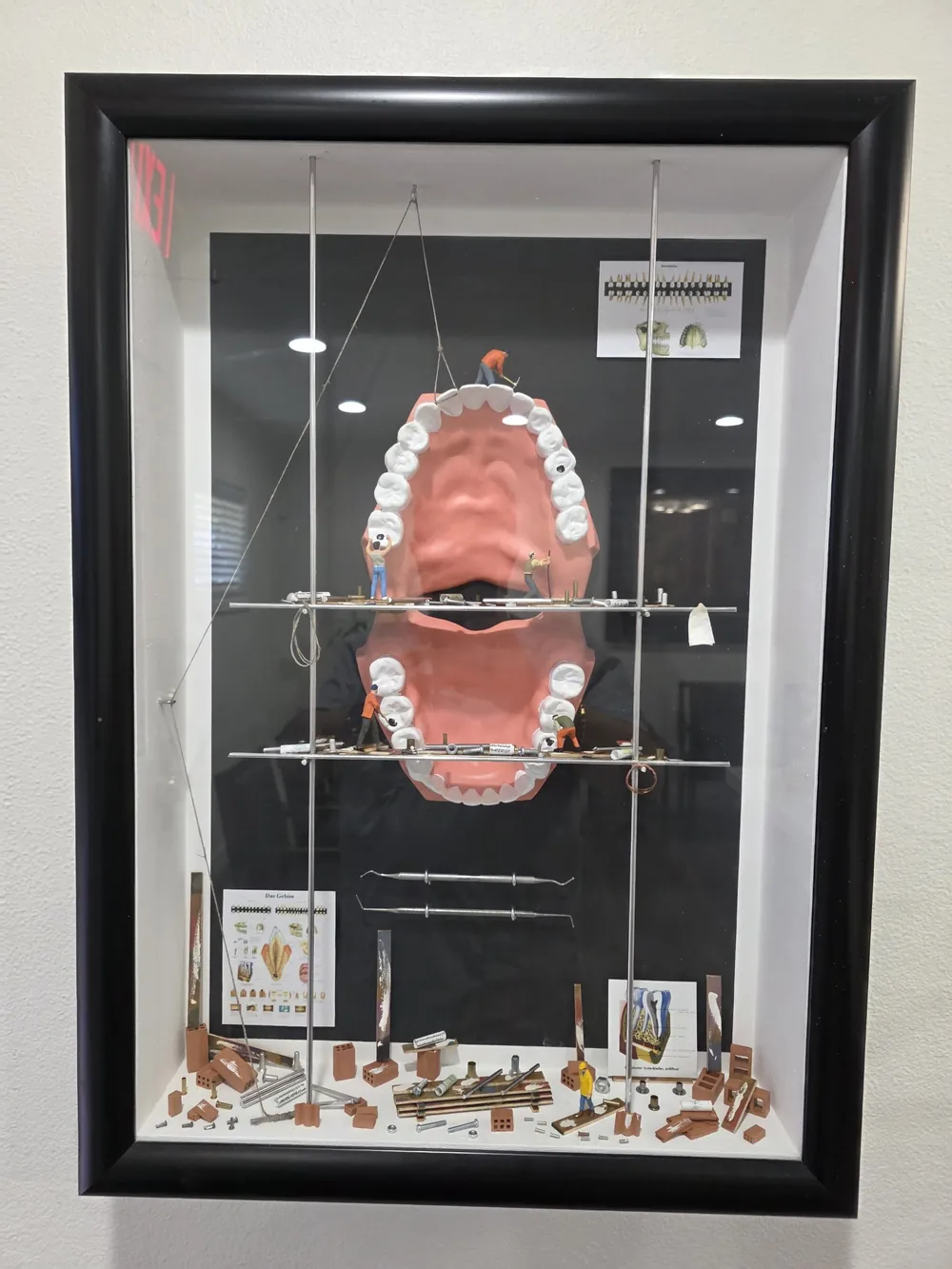 Dental art display inside Comfy Dental Care